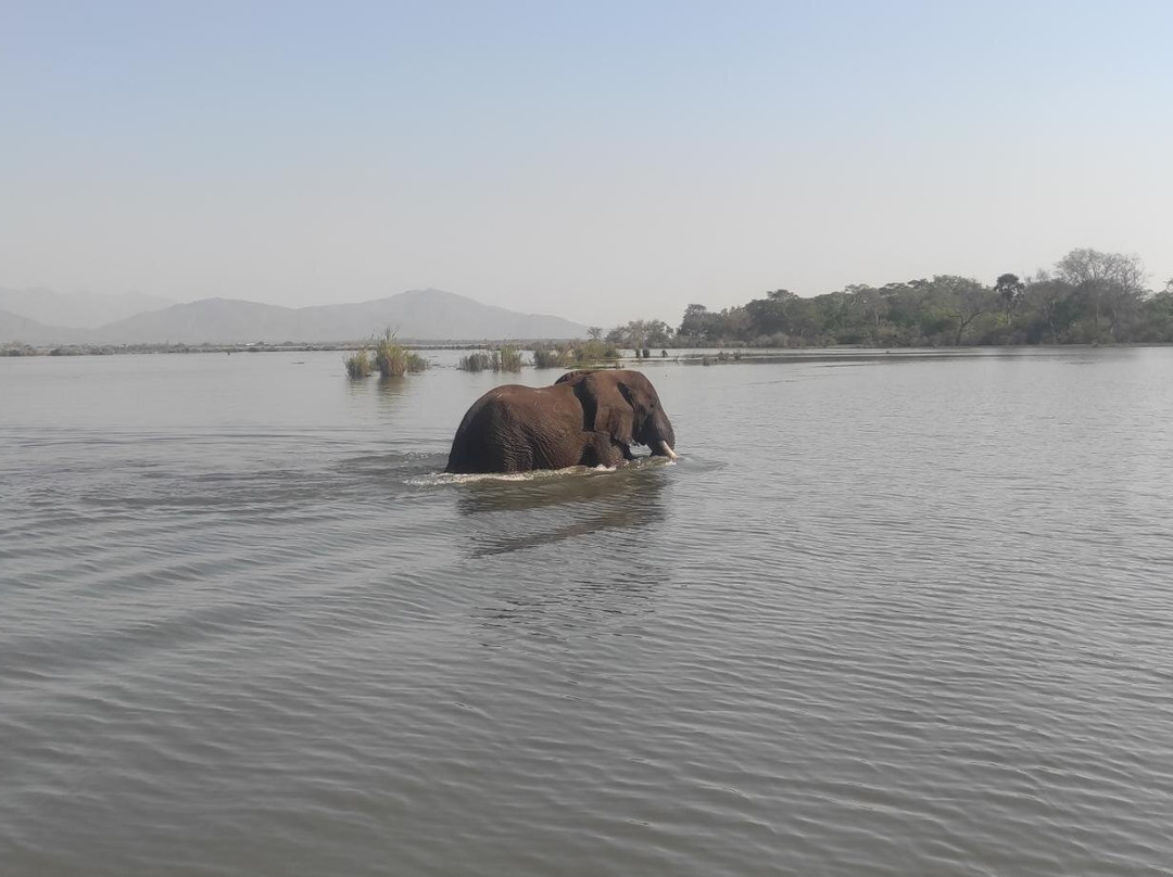 Shire Eco Safari Camp-Liwonde National Park必去景点