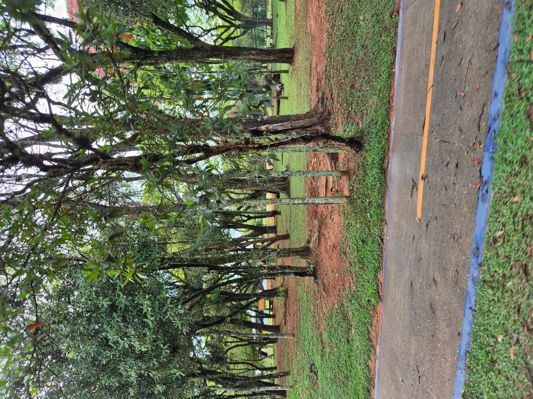 Parque Da Cidade-容迪亚伊必去景点