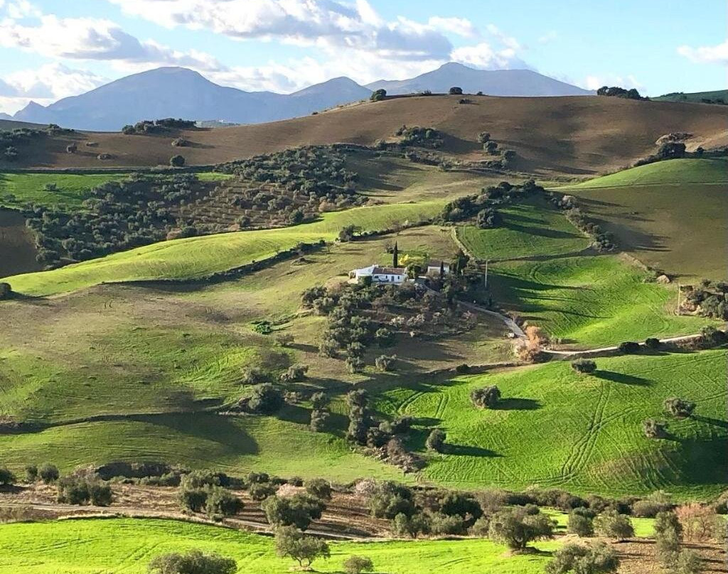 Finca Las Campanas II