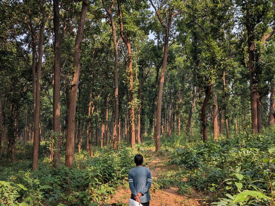 Forest Side Farm主图