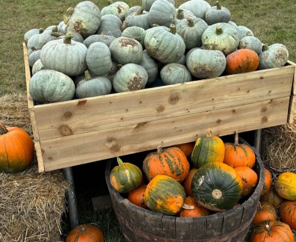 Halloween Farm-Heather必去景点