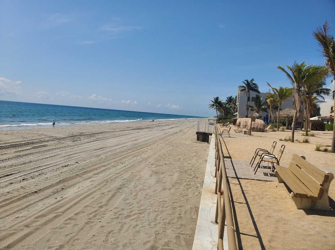 Royal Flamingo主图