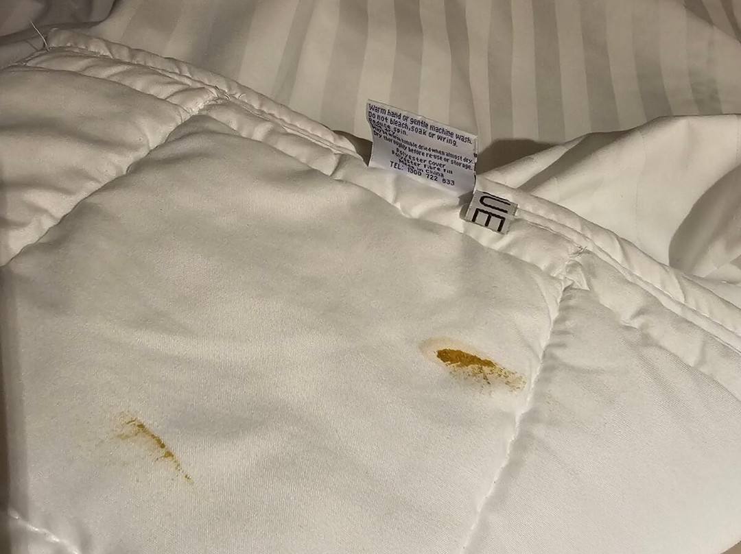 里斯戈帕克赛德汽车酒店主图