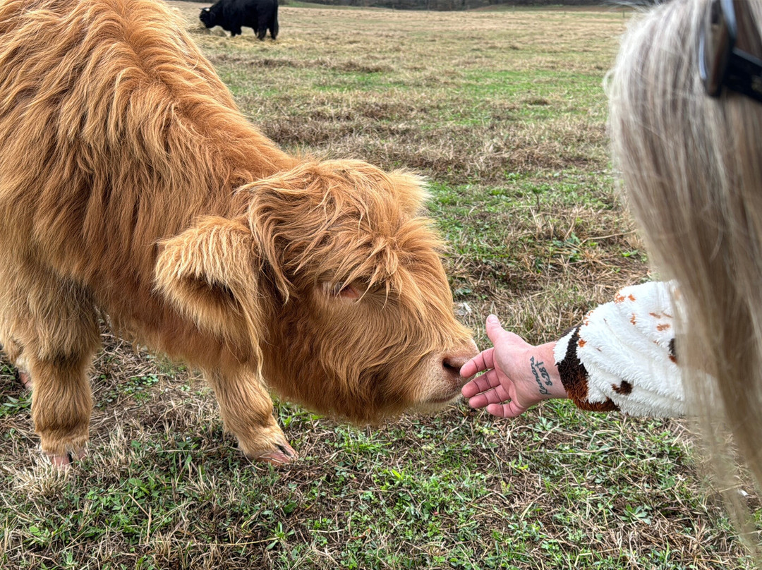 Hidden Cave Ranch主图