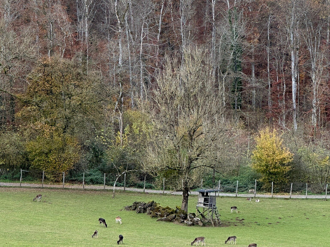 Adler und Wolfspark-Pelm必去景点