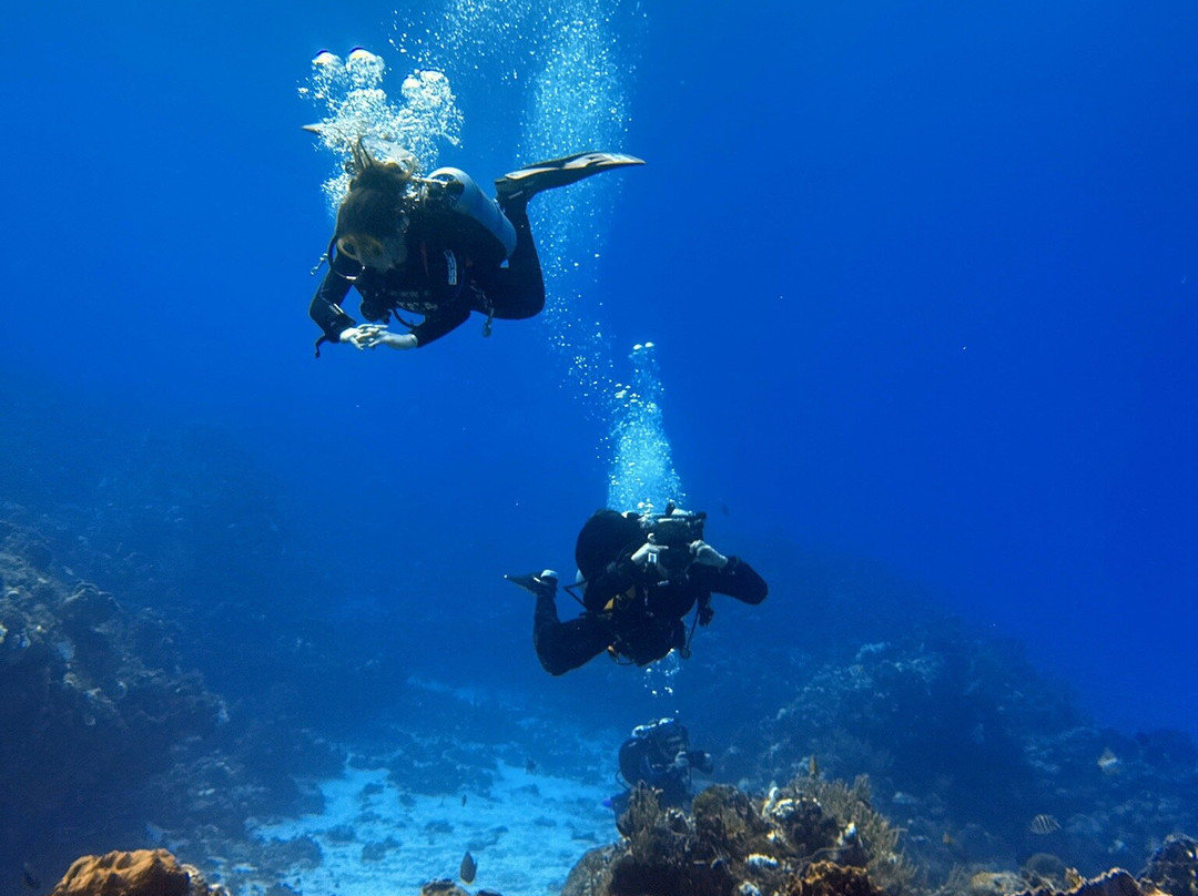 Tatauga Dive-维涅杜必去景点