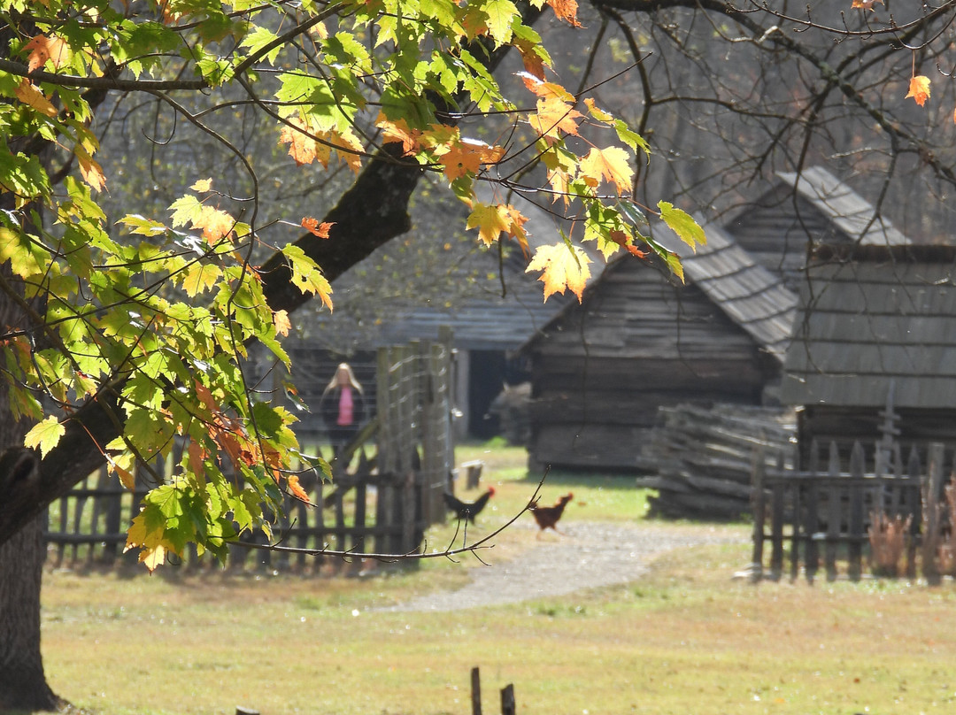 Oconaluftee Visitor Center景点图片
