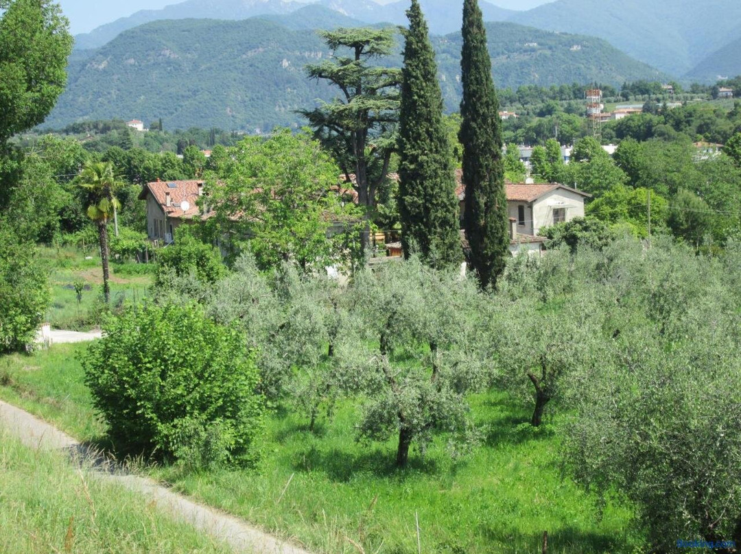 Agriturismo Bonu Gabriele