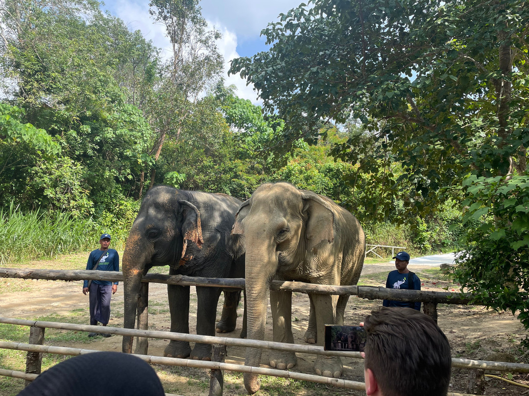 Hidden Forest Elephant Reserve景点图片