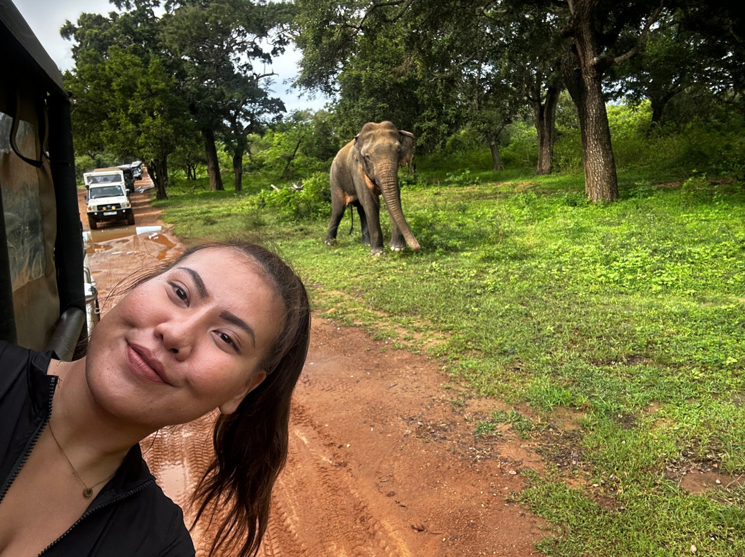 Ceylon Leopard Safari Yala景点图片