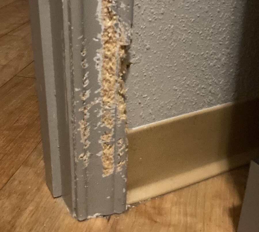 La Quinta Inn & Suites by Wyndham Lumberton主图