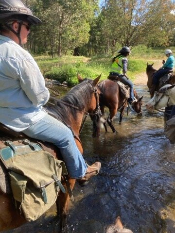 Bogong Horseback Adventures景点图片
