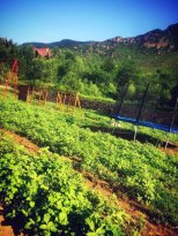 森林乡居度假酒店主图