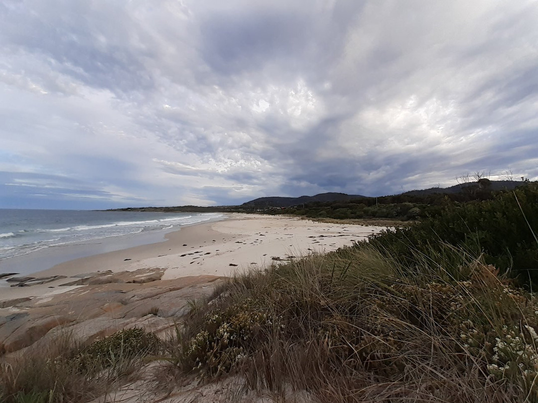 Scamander on the Beach主图