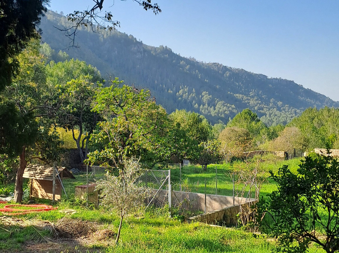 Parque Natural de la Murta景点图片