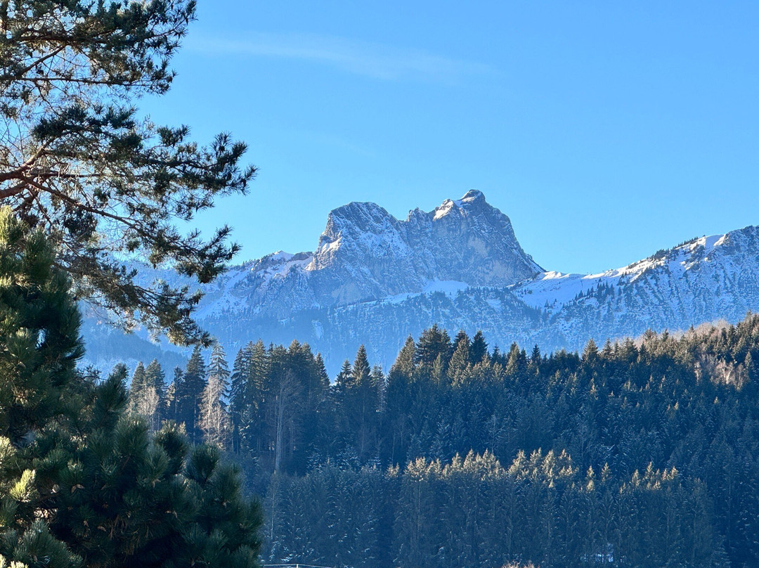 Haus Christine Pension主图