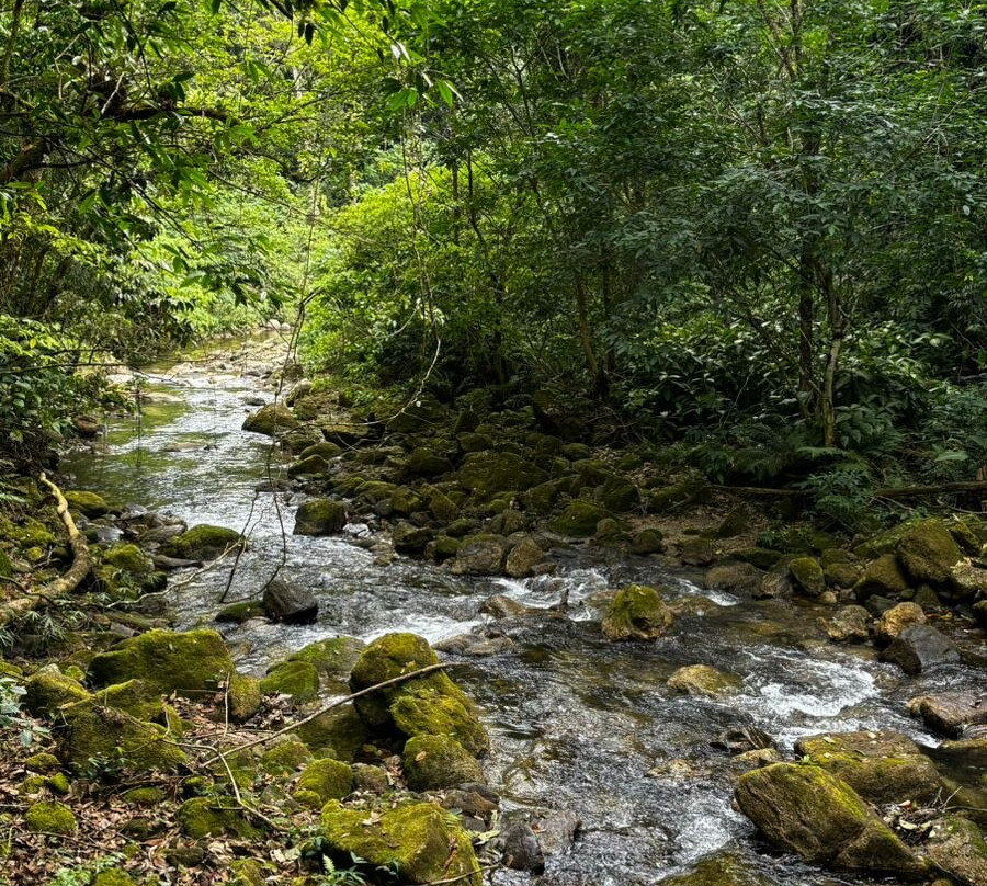 MaresiasTur - Receptivo & Ecoturismo景点图片