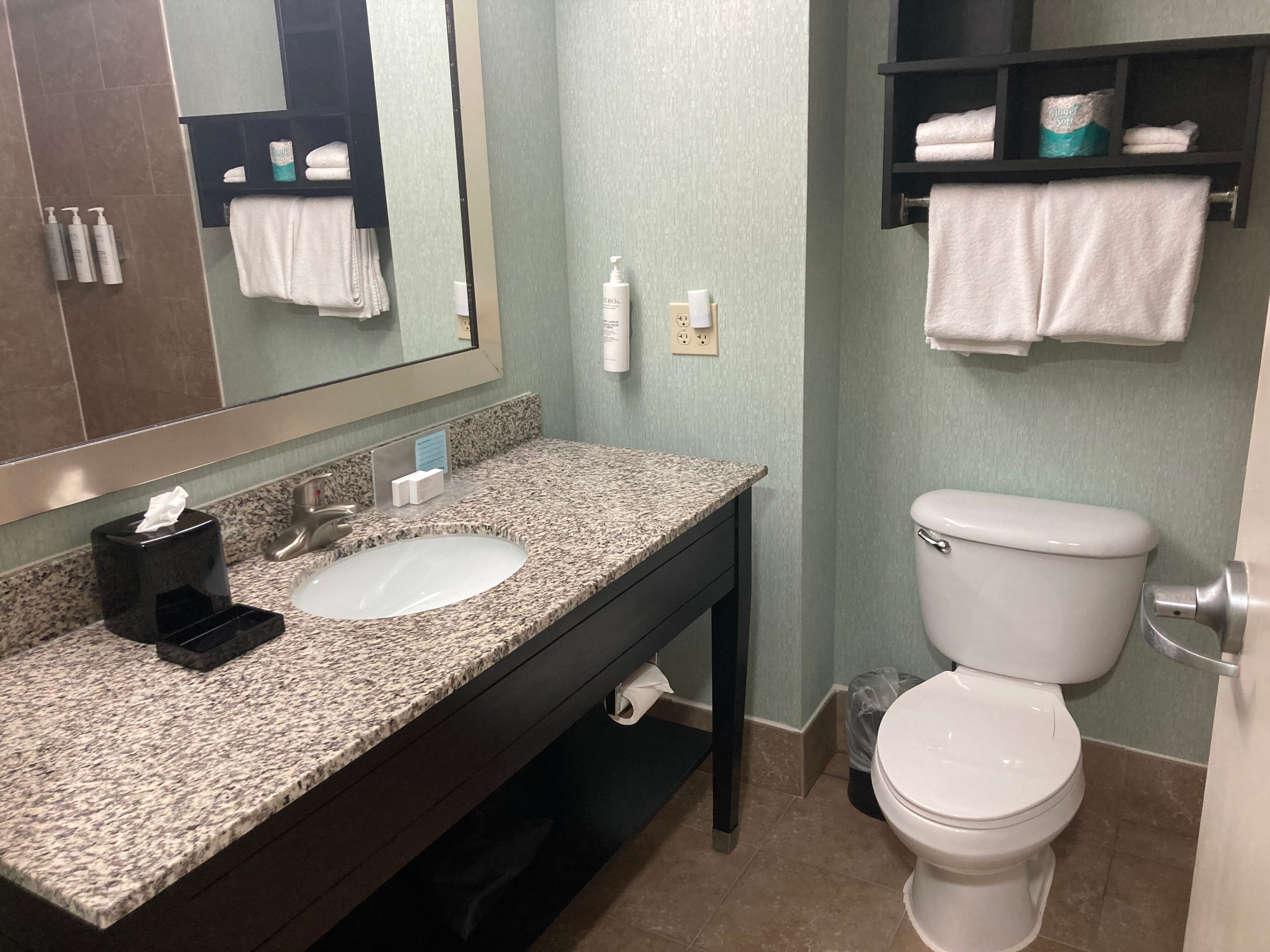 Hampton Inn & Suites Bluffton-Sun City-浴室