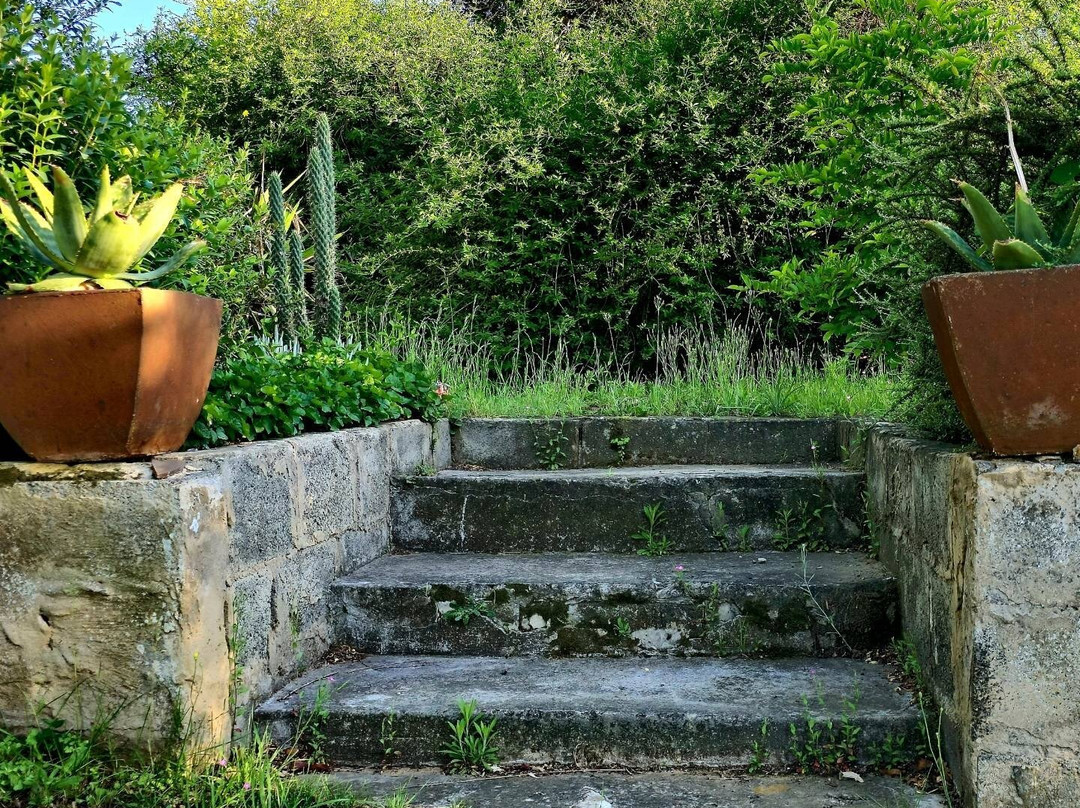 Riverview Country Inn主图