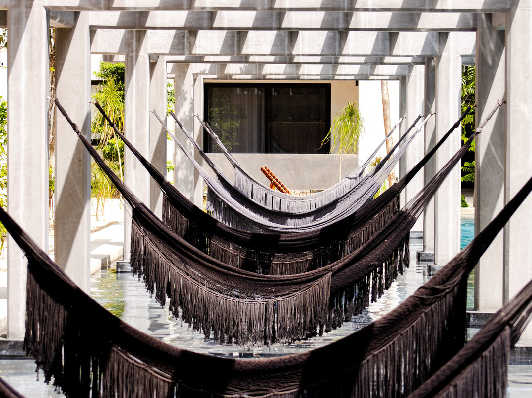 Cenotes Casa Tortuga主图