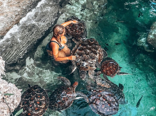 ZanhazyTours-桑给巴尔市必去景点