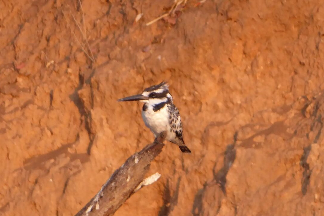 Buffalo Core Area-Bwabwata National Park必去景点