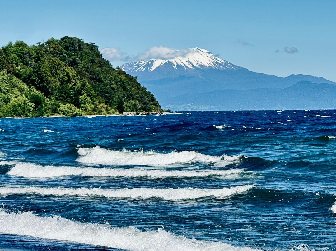 Rueda Chile-Ensenada必去景点