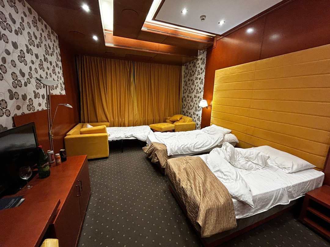 Aleksandar Novi Sad主图