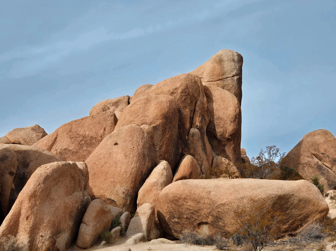 Joshua Tree Visitor Center-约书亚树必去景点