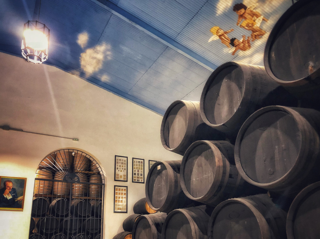 Bodegas Paez Morilla景点图片