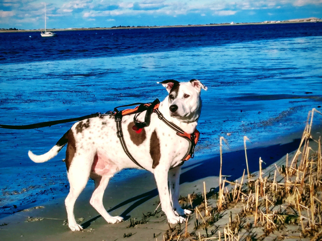 Lamb and Lion Inn主图