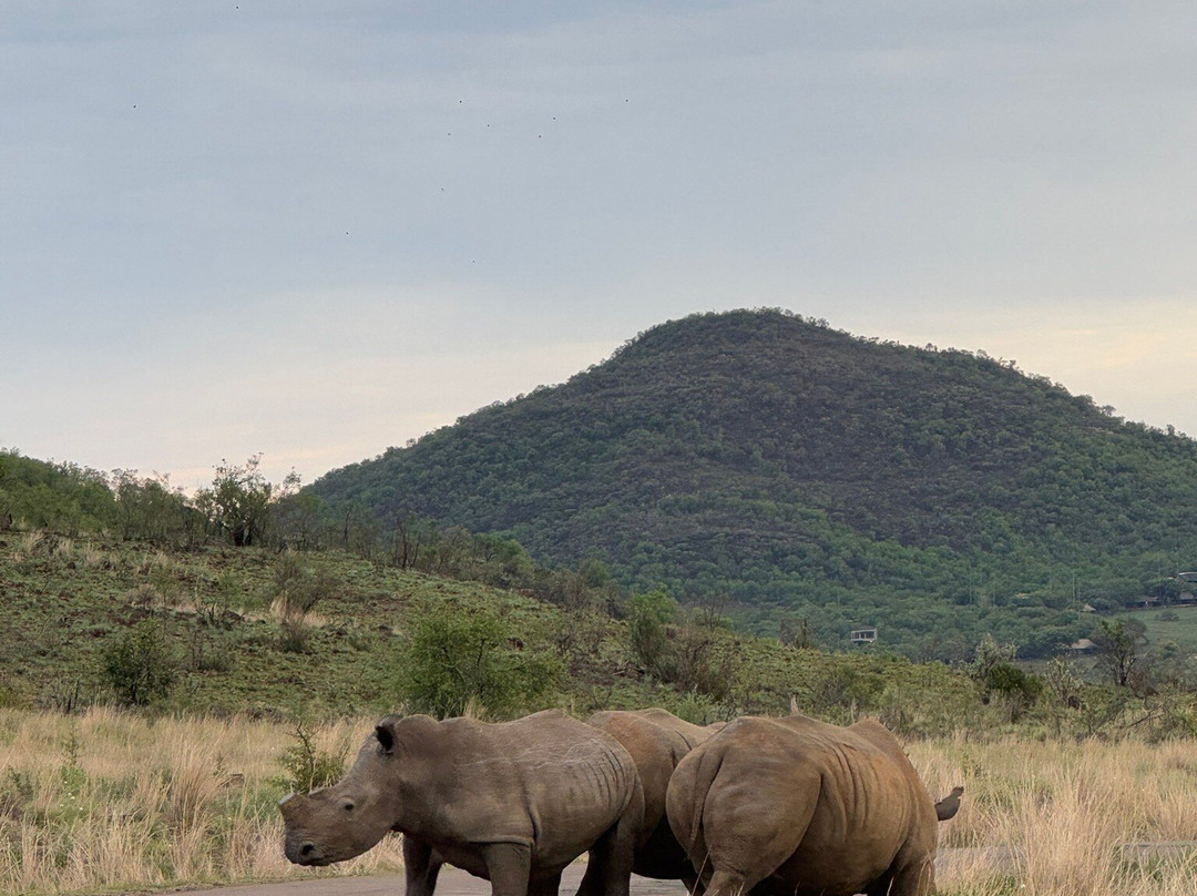 Heartbeats of Africa景点图片