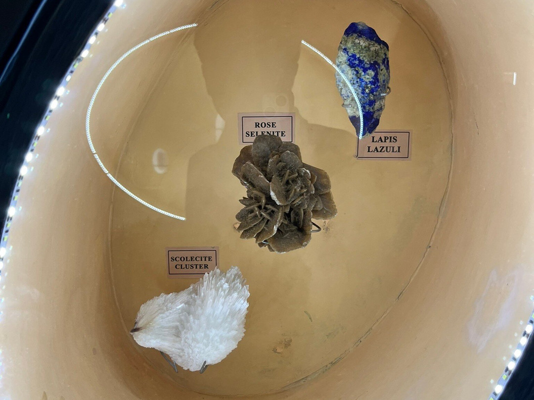 India Seashell Museum-玛玛拉普蓝必去景点