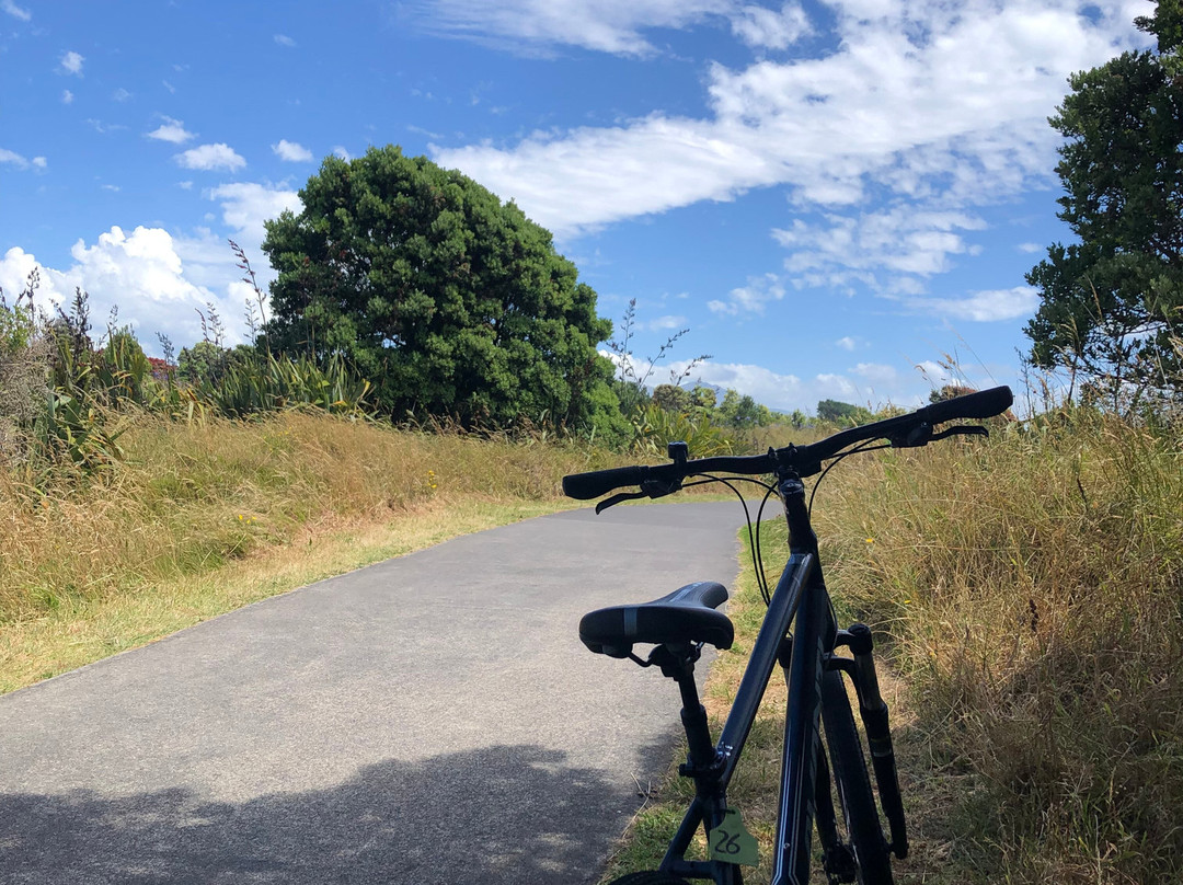 Cycle Inn-新普利默斯必去景点