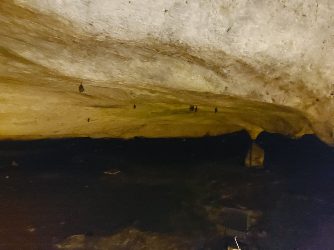 The Magura Cave景点图片