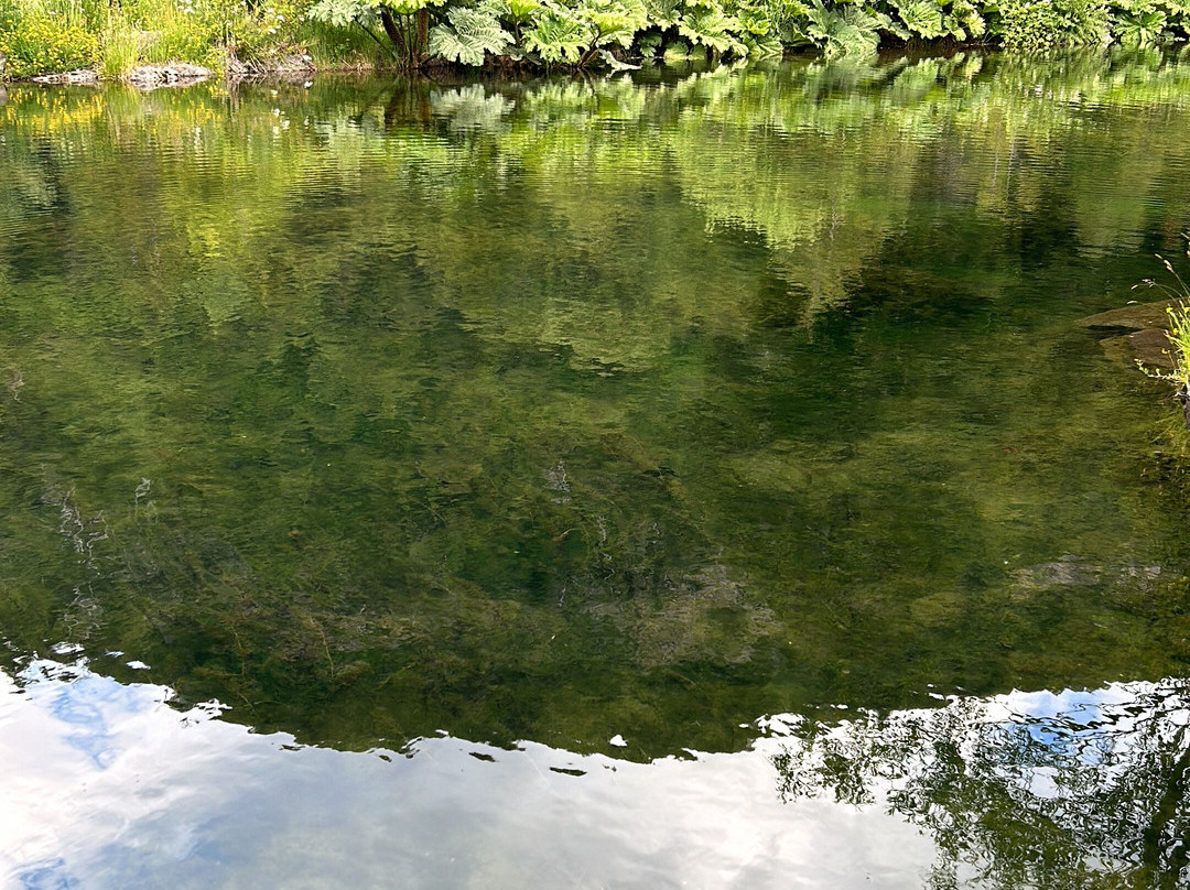 Malalcahuello Thermal Hotel & Spa主图