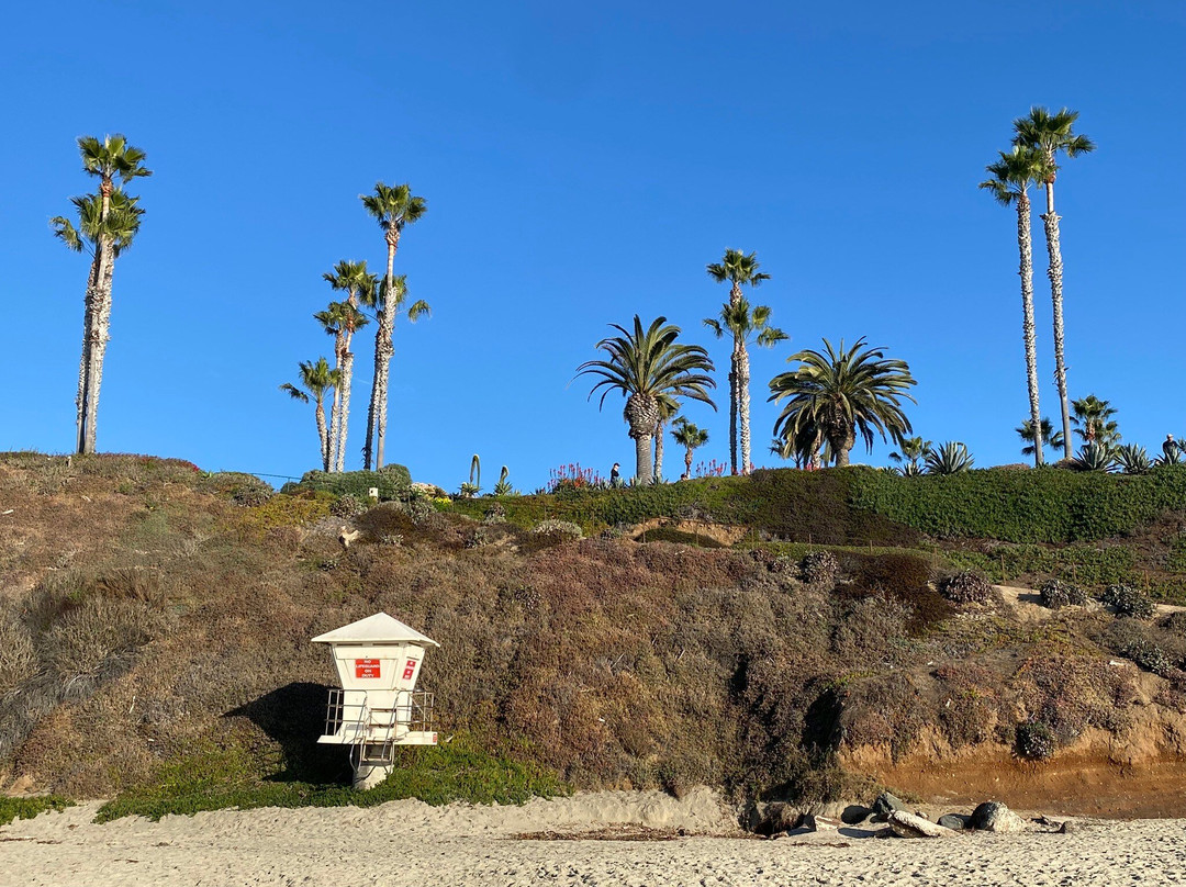 Treasure Island Beach景点图片