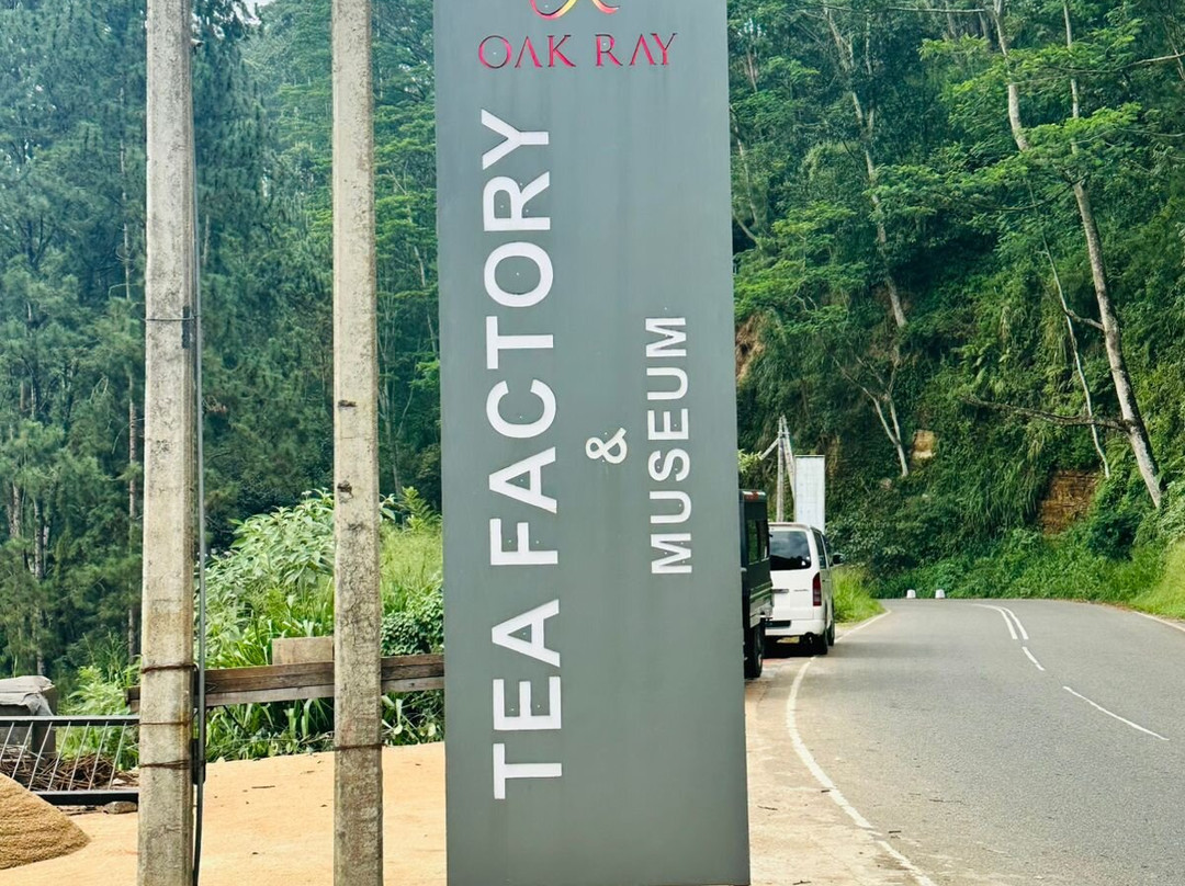 Oak Ray Tea Factory & Museum景点图片