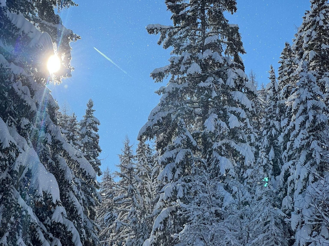 Element Ski School-韦比尔必去景点