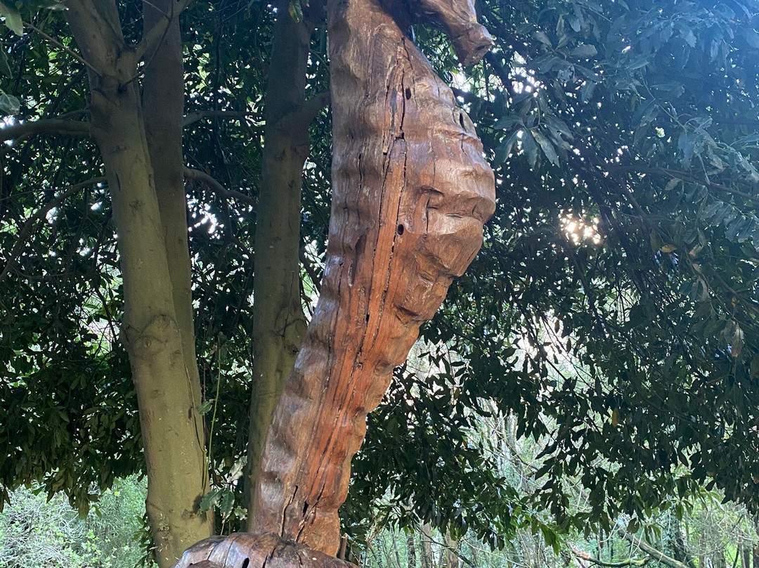 Parque dos Sentidos景点图片