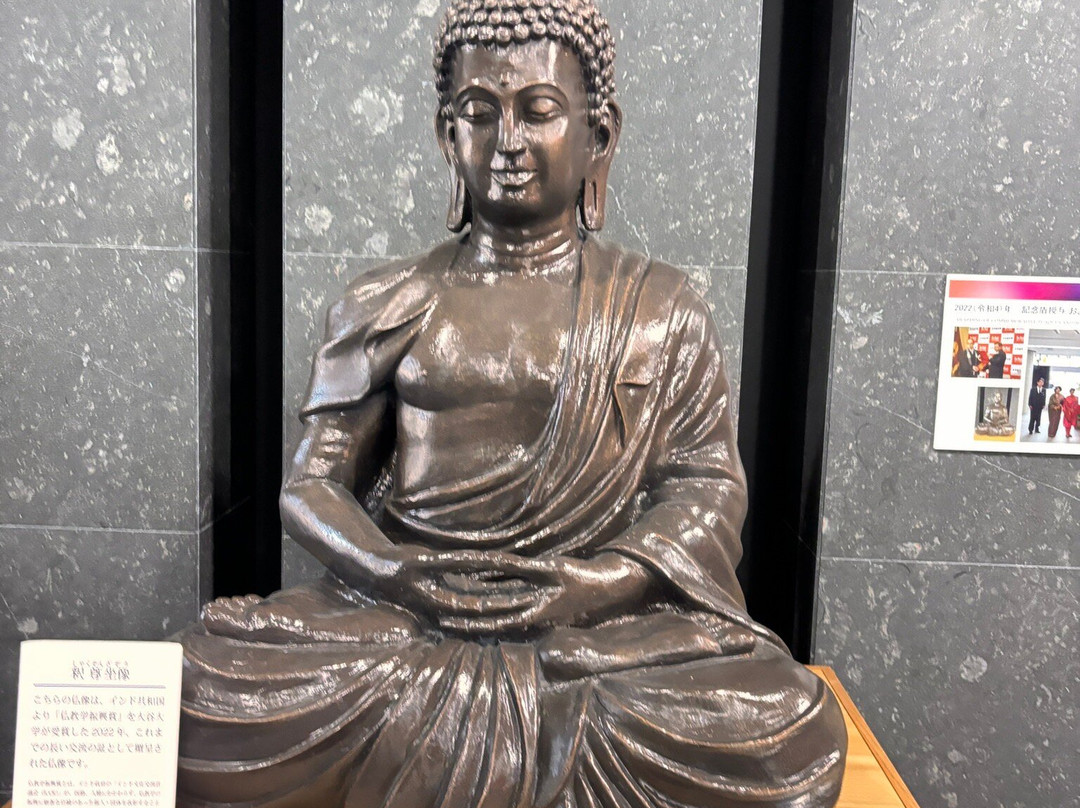 Otani University Museum-京都市必去景点