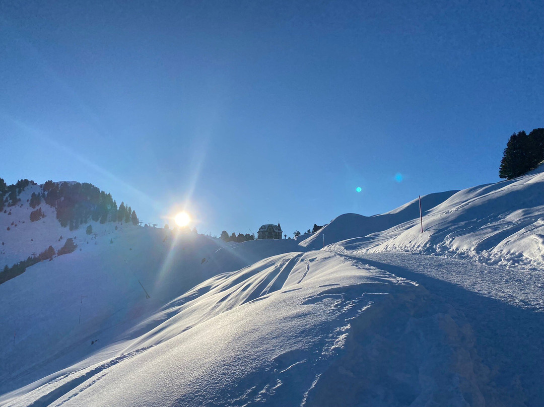 Villa Cassel - Pro Natura Zentrum Aletsch-利德阿尔卑必去景点