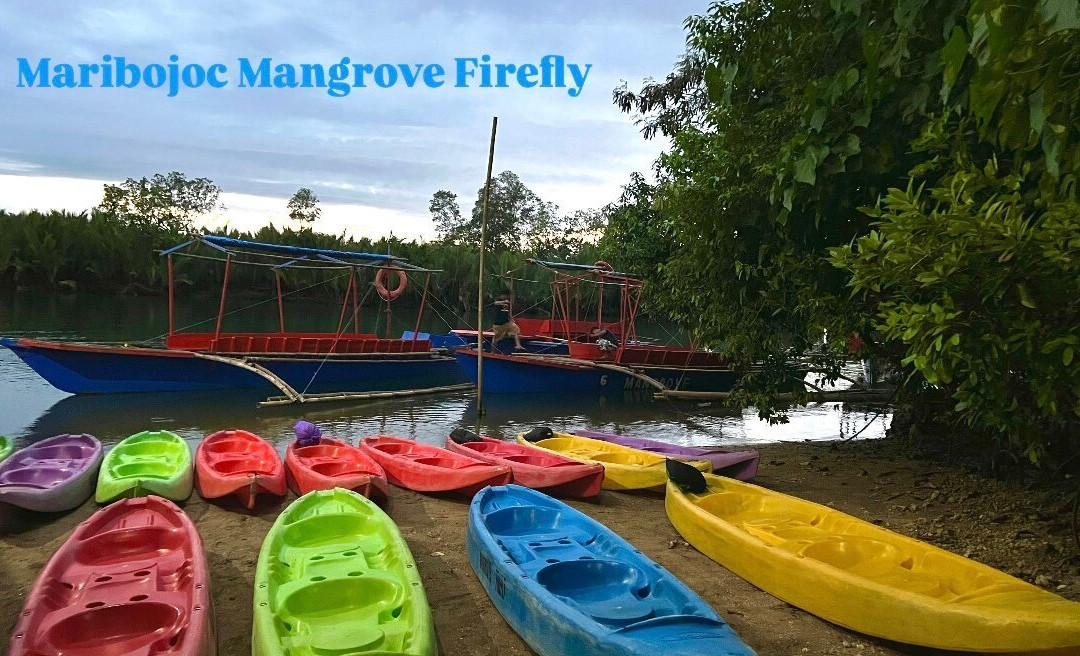 Maribojoc Mangrove Firefly Watching-Maribojoc必去景点