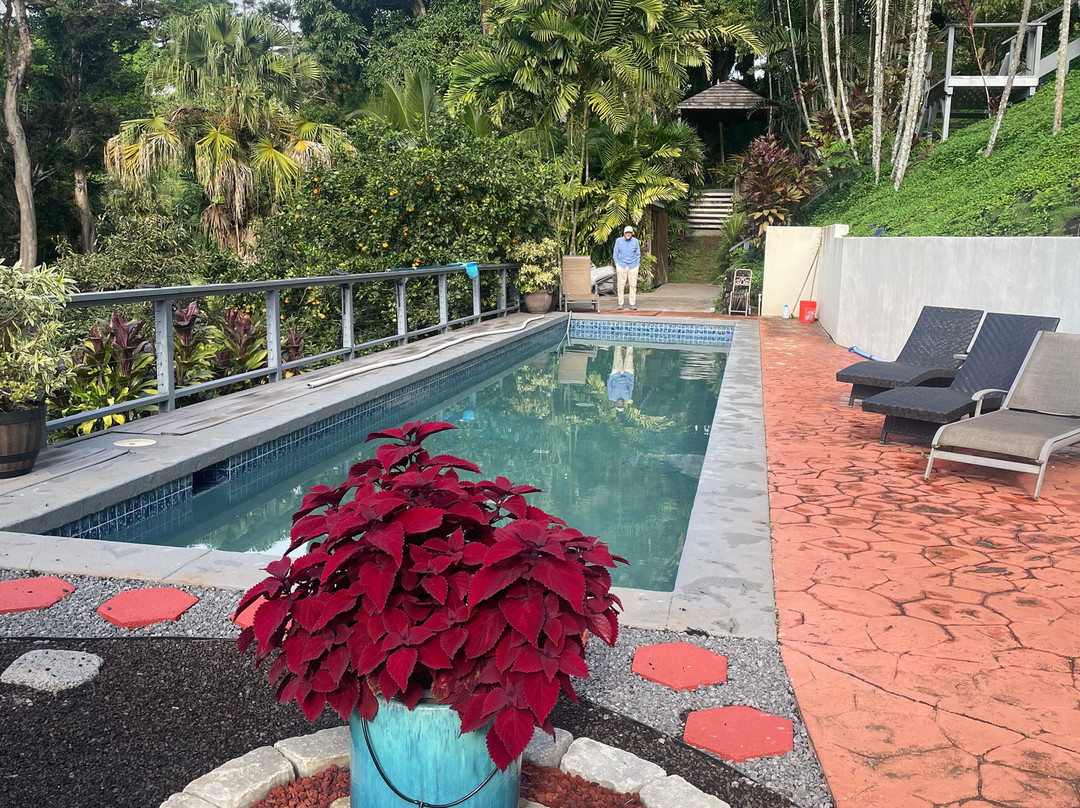 Marjorie's Kauai Inn主图