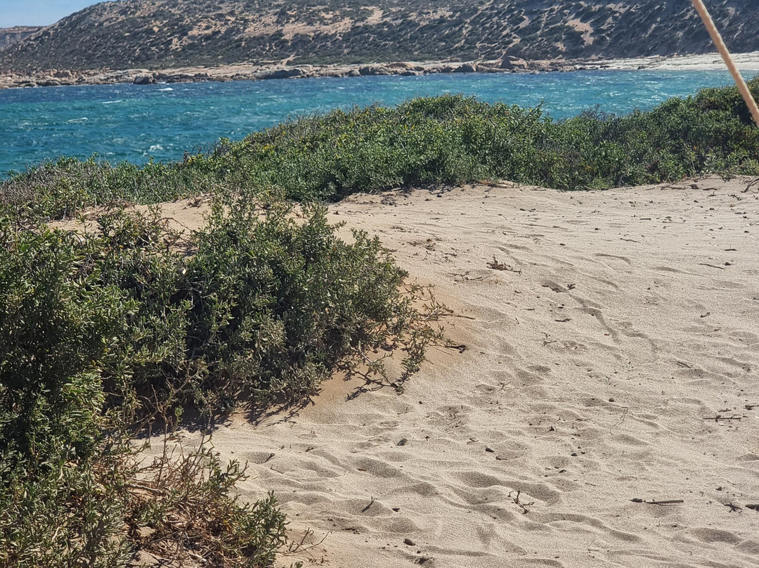 Point Brown-Ceduna必去景点