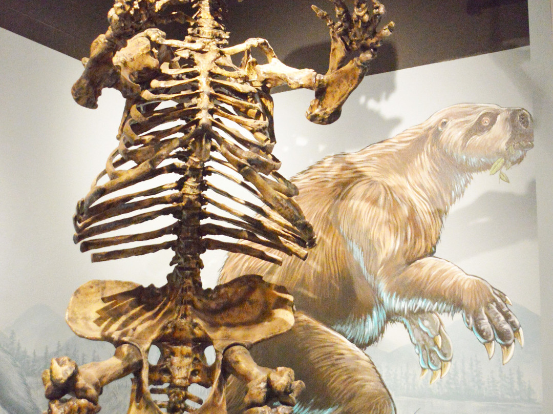 Museum of Natural and Cultural History-尤金必去景点