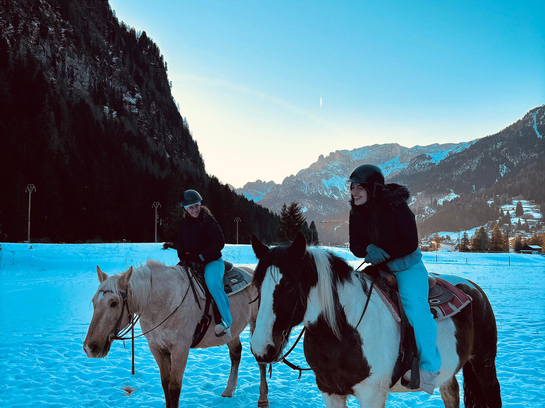 Charlotte Horse Riding景点图片