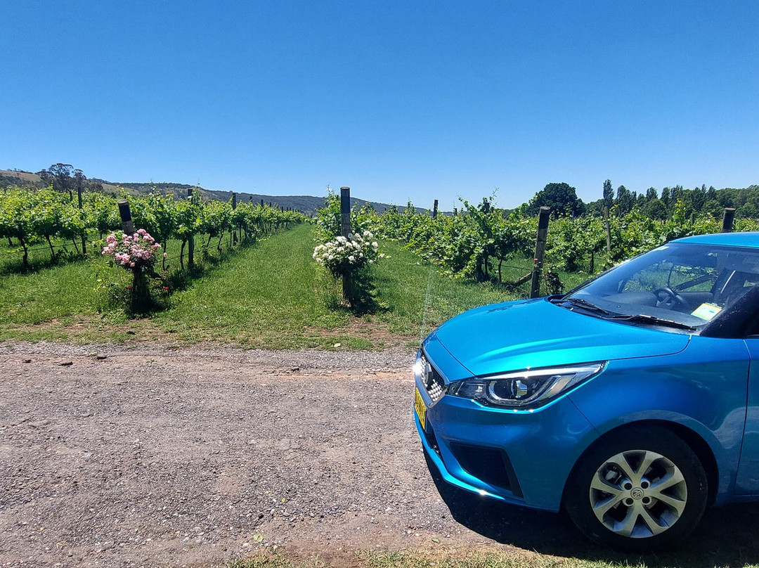 Lake George Winery-Collector必去景点