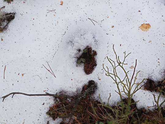 True Nature Sweden-斯德哥尔摩必去景点