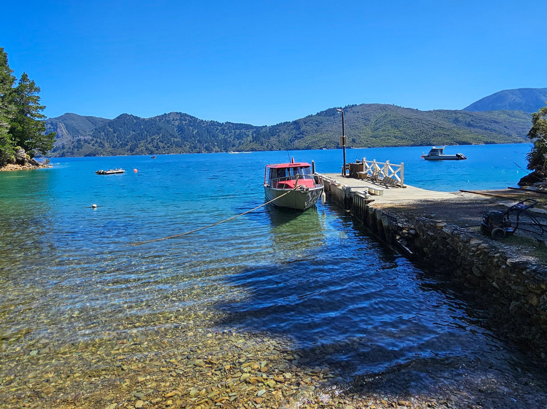 Tawa Cove Cabins-Endeavour Inlet必去景点